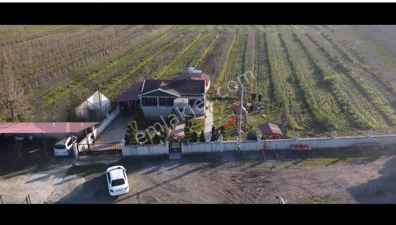 Çarşamba Namazlı Satılık Bağ & Bahçe KONUM GAYRİMENKULDEN İSTER YATIRIM YAP KENDİN KULLAN 25.000 MT2 ARAZİ FINDIKLIK 200 BAŞLIK AHIR