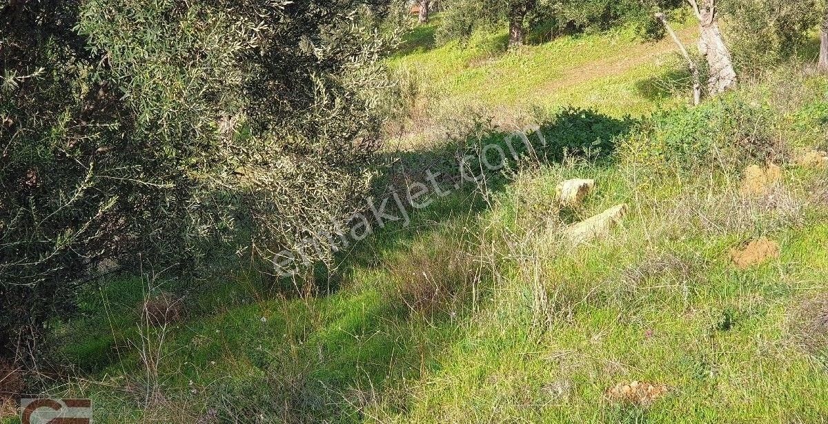 Kelepir Fiyata Yatırımlık Deniz Manzaralı Villalık Arsa - Görsel 2