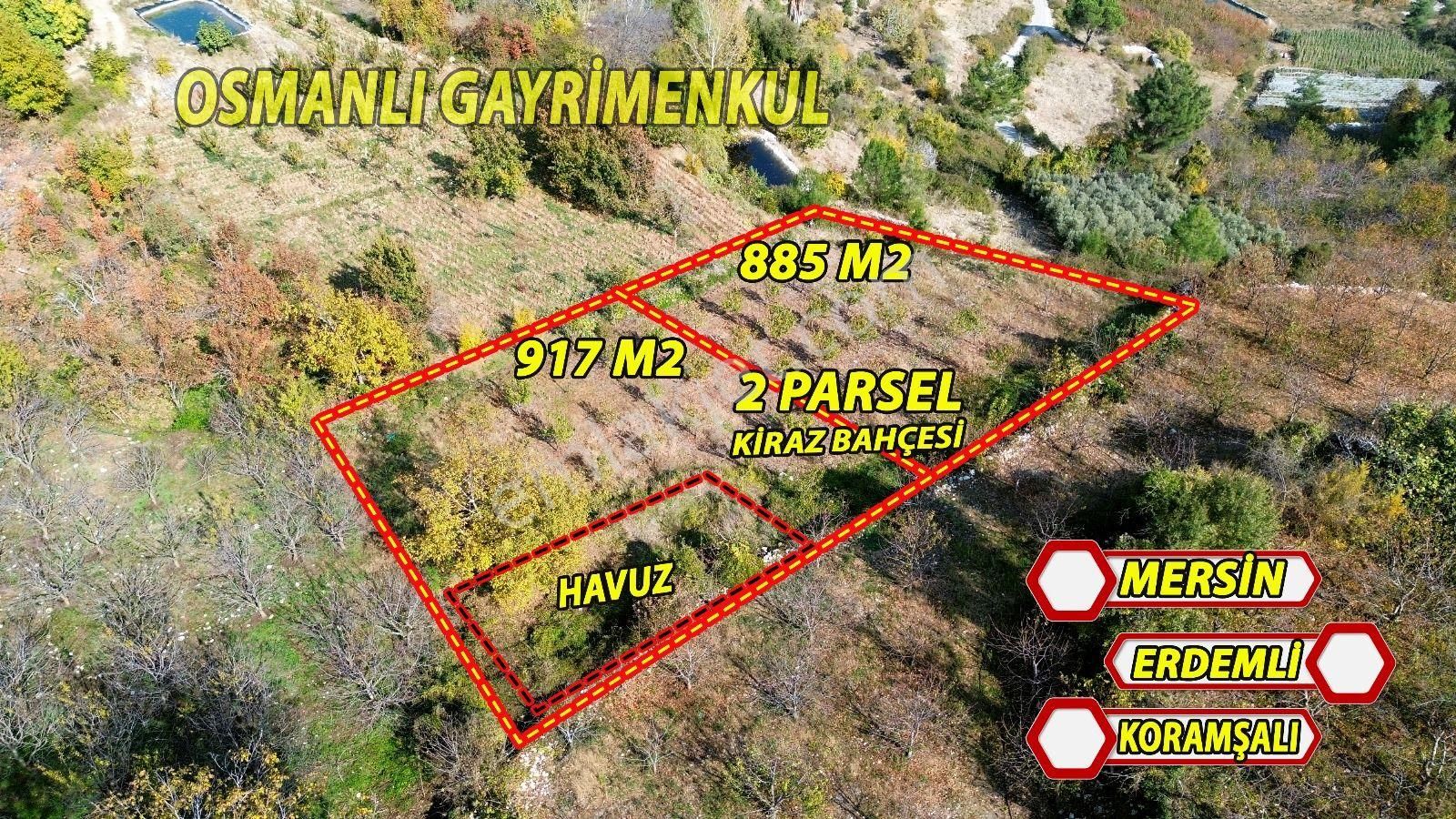 Erdemli Koramşalı Satılık Tarla  KORAMŞALI’ DA SATILIK  1802 M2 KİRAZ  BAHÇESİ 