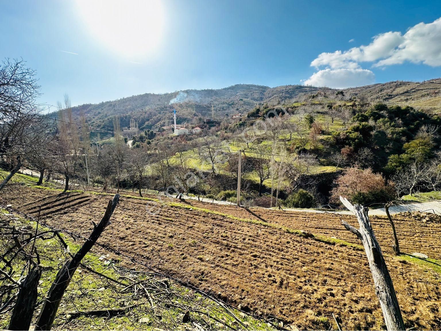 Tire Satılık Köy Evi 3800 M2 Tek Tapu Abonelik Aktif - Görsel 10