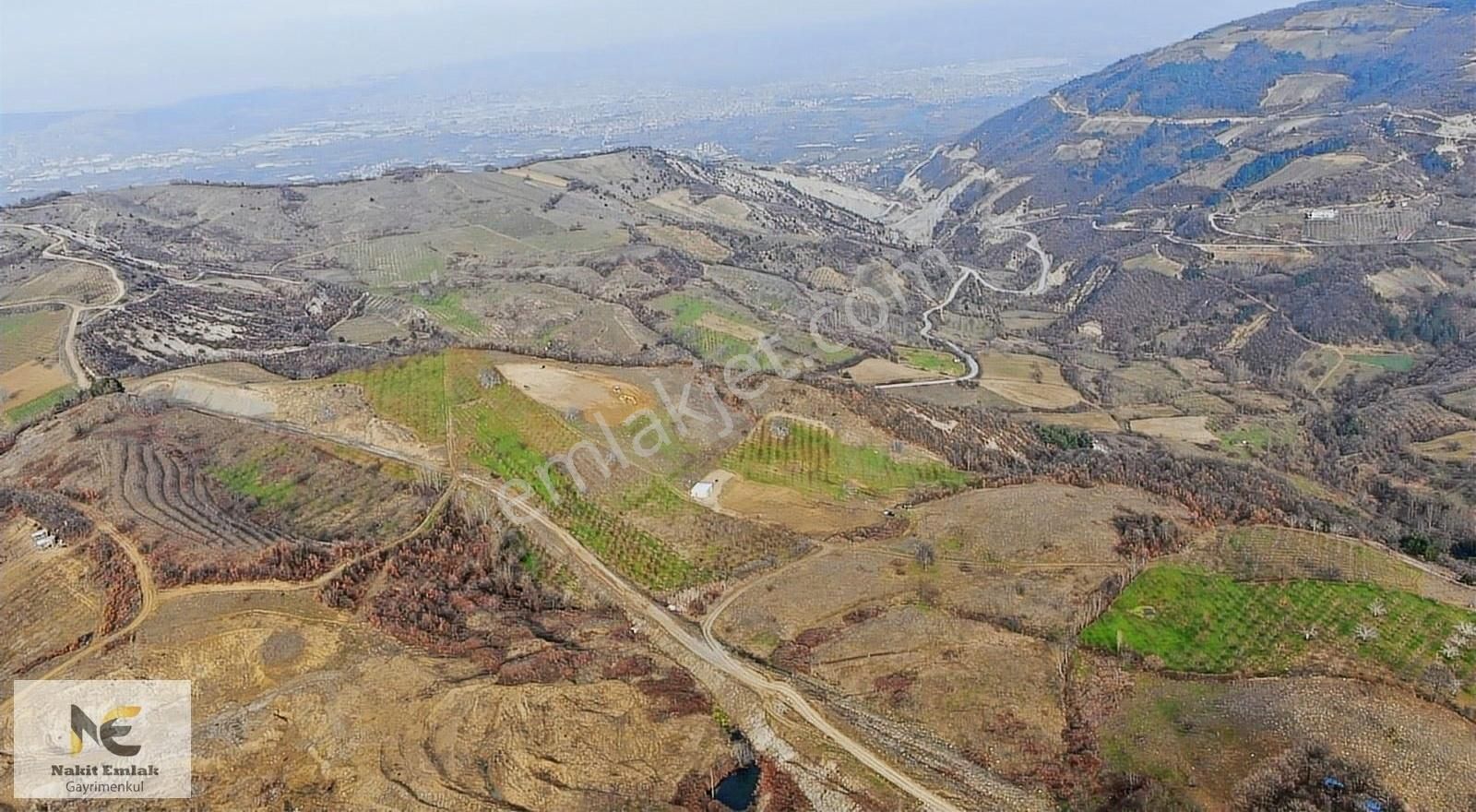 İnegöl Doğanyurdu Satılık Tarla Uygun Fiyatlı Yatırım Fırsatı 595m2 İnegöl'e 15 Dk Doğanyurdu Mh