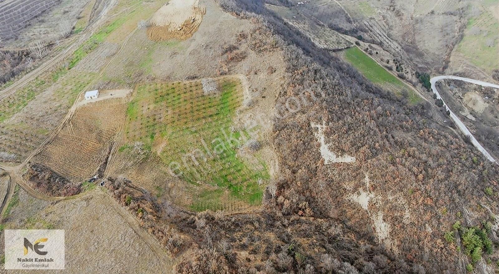 Uygun Fiyatlı Yatırım Fırsatı 595m2 İnegöl'e 15 Dk Doğanyurdu Mh - Görsel 7