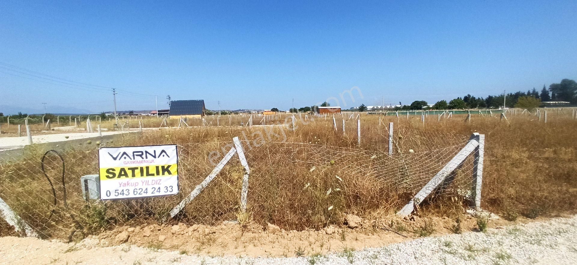 Bulgurcada 218 M2 Kooparatif Bahce - Görsel 19