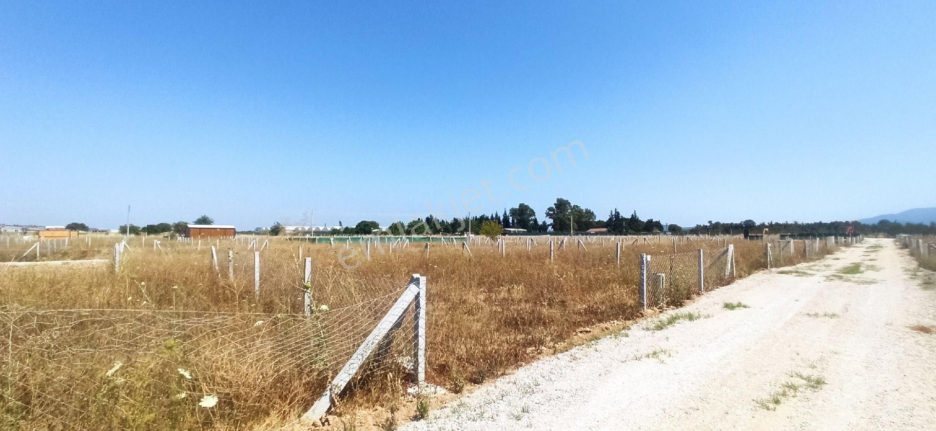 Bulgurcada 218 M2 Kooparatif Bahce - Görsel 17