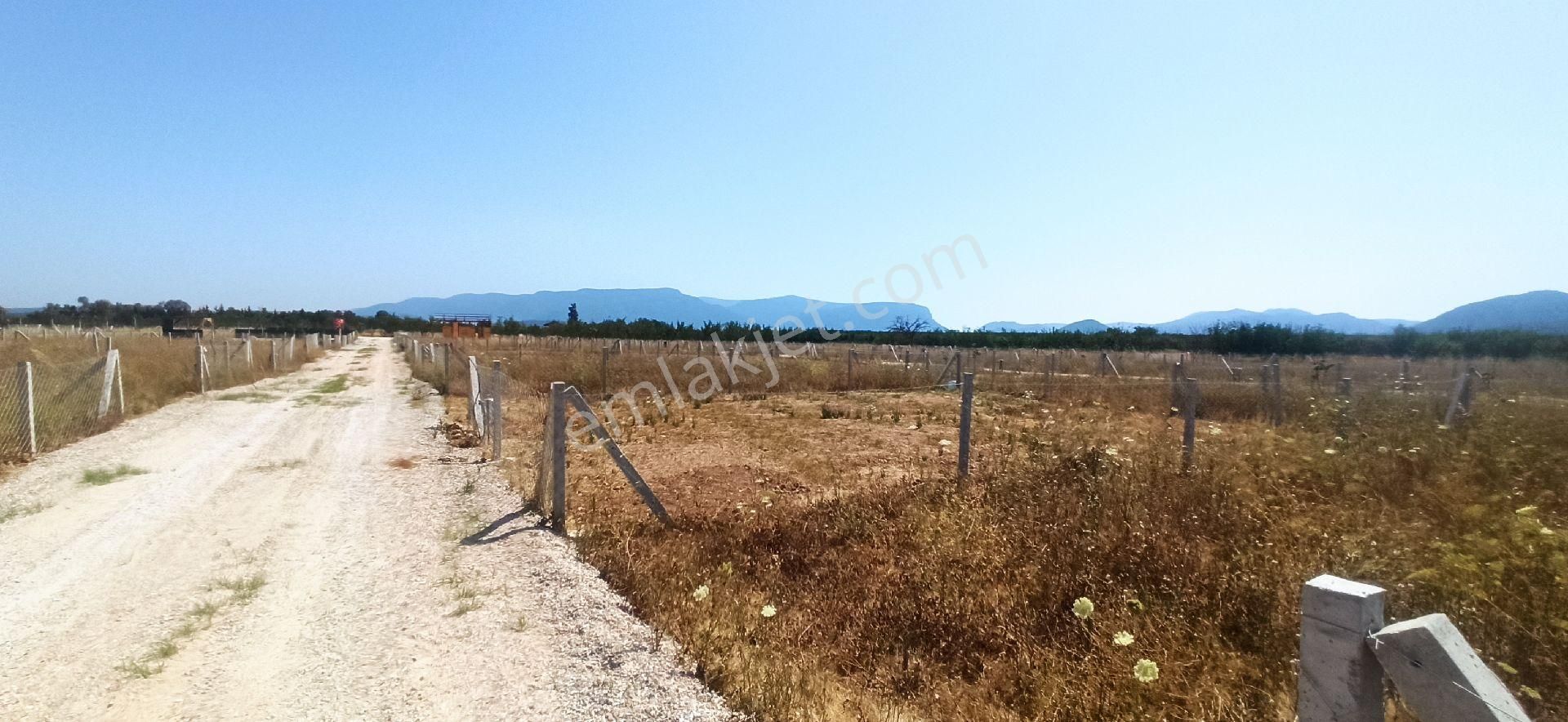 Bulgurcada 218 M2 Kooparatif Bahce - Görsel 15