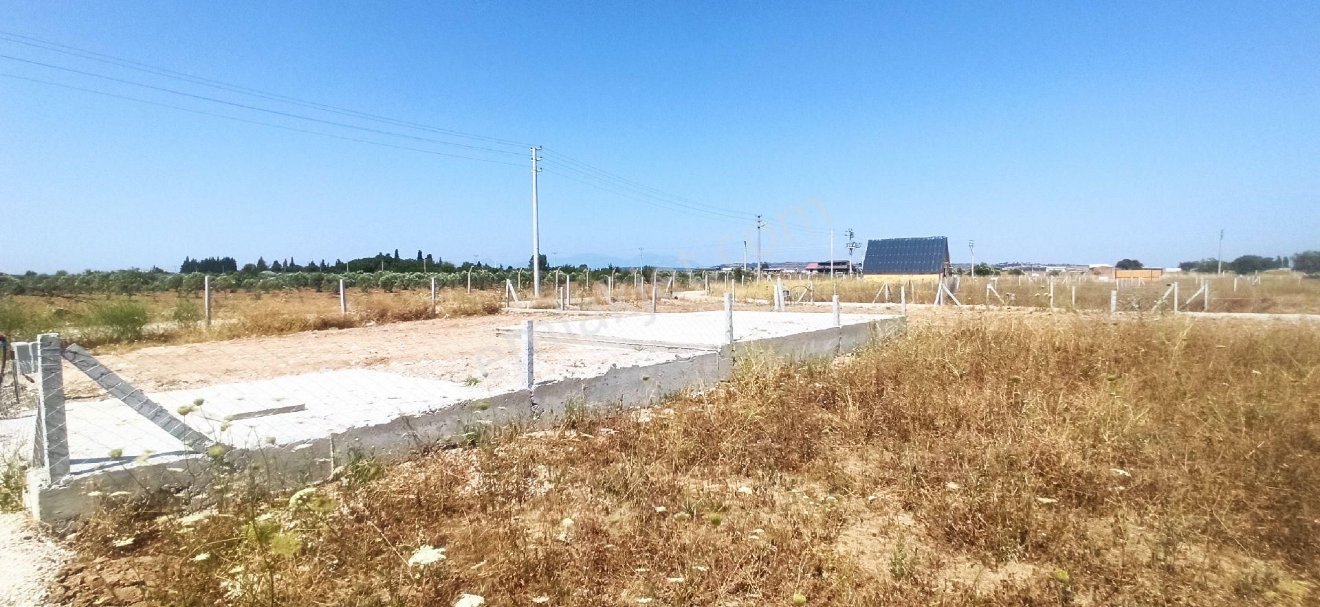 Bulgurcada 218 M2 Kooparatif Bahce - Görsel 26