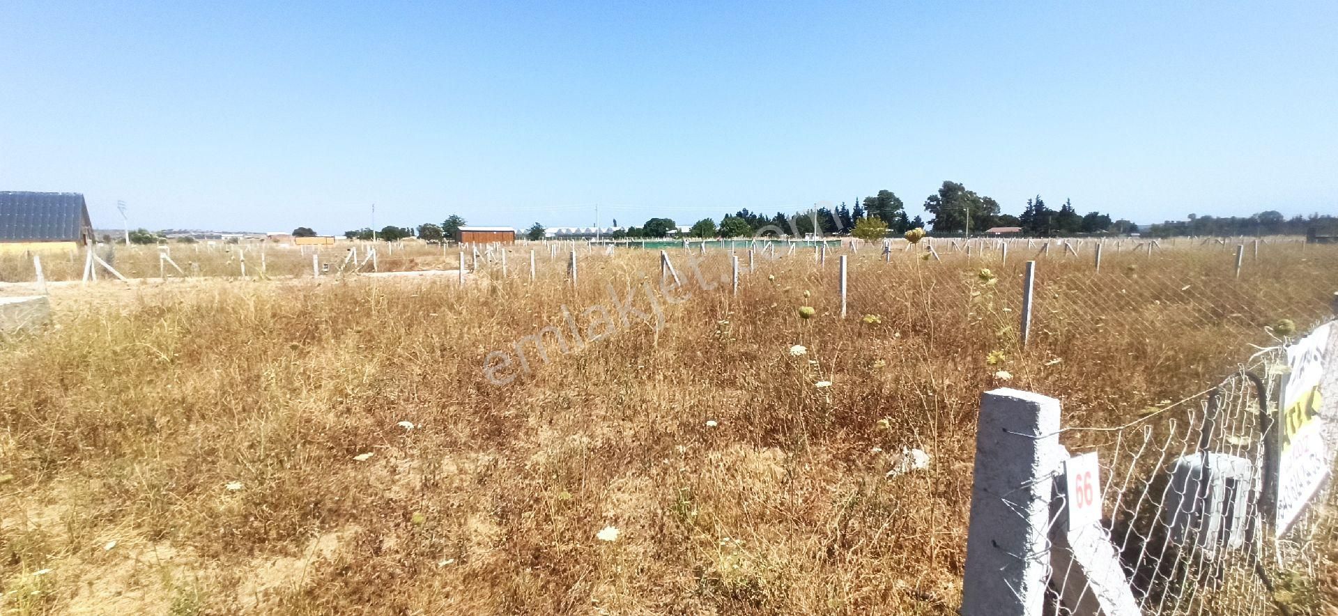 Bulgurcada 218 M2 Kooparatif Bahce - Görsel 25