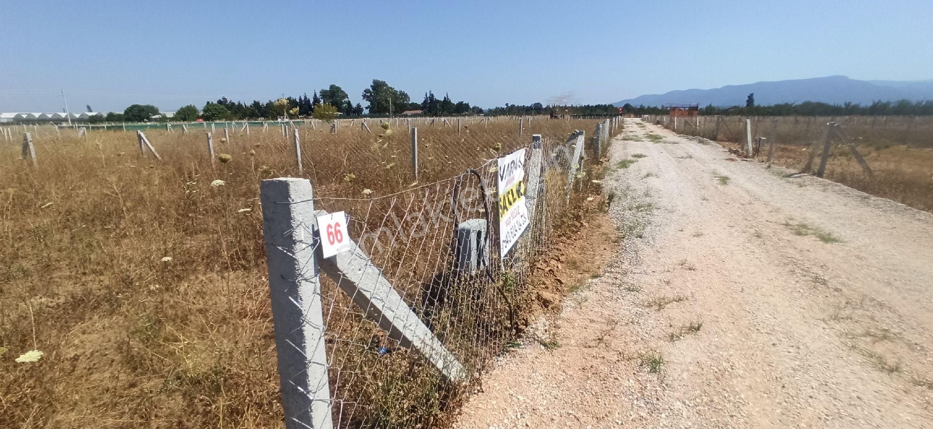 Bulgurcada 218 M2 Kooparatif Bahce - Görsel 23