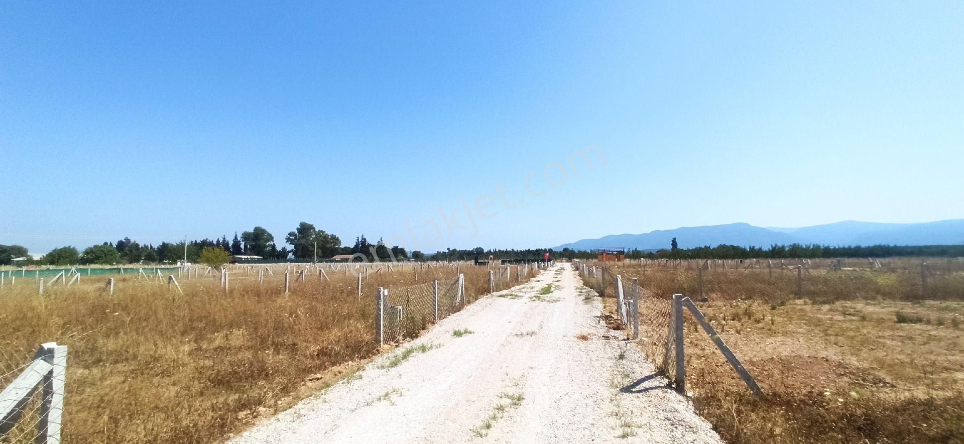 Bulgurcada 218 M2 Kooparatif Bahce - Görsel 16