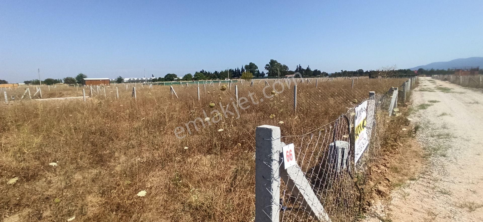 Bulgurcada 218 M2 Kooparatif Bahce - Görsel 24