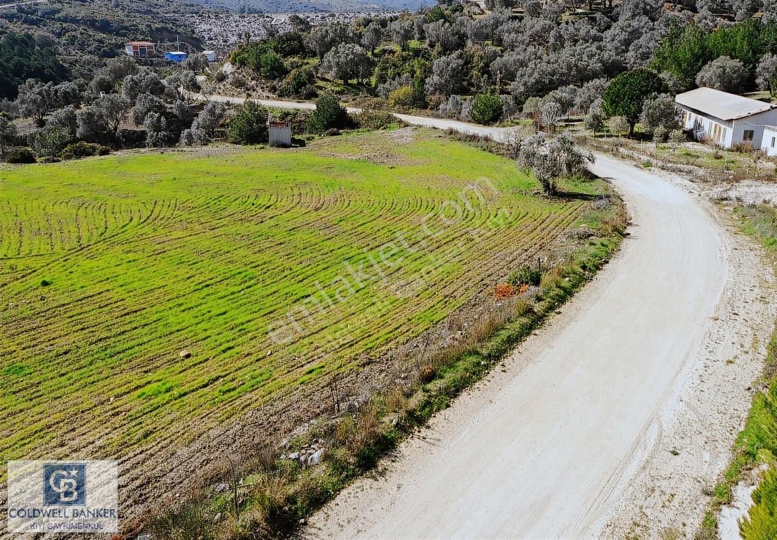 Karaburun Eğlenhoca Satılık Tarla İzmir Karaburun Eğlenhoca'da Resmi Yola Cepheli Satılık Tarla