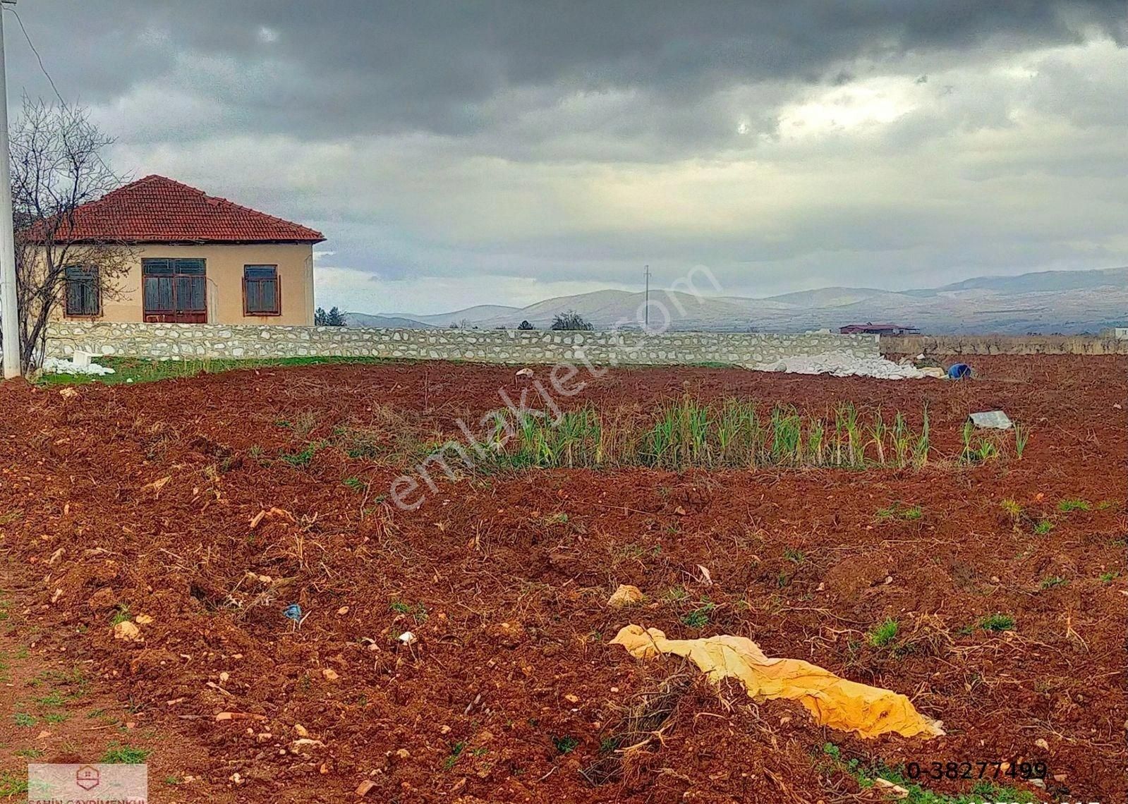 Denizli Çal Satılık Müstakil İşyeri ŞAHİN GAYRİMENKULDEN HANÇALAR MH DE SATILIK BÜYÜK BAŞ HAYVAN ÇİFLİK