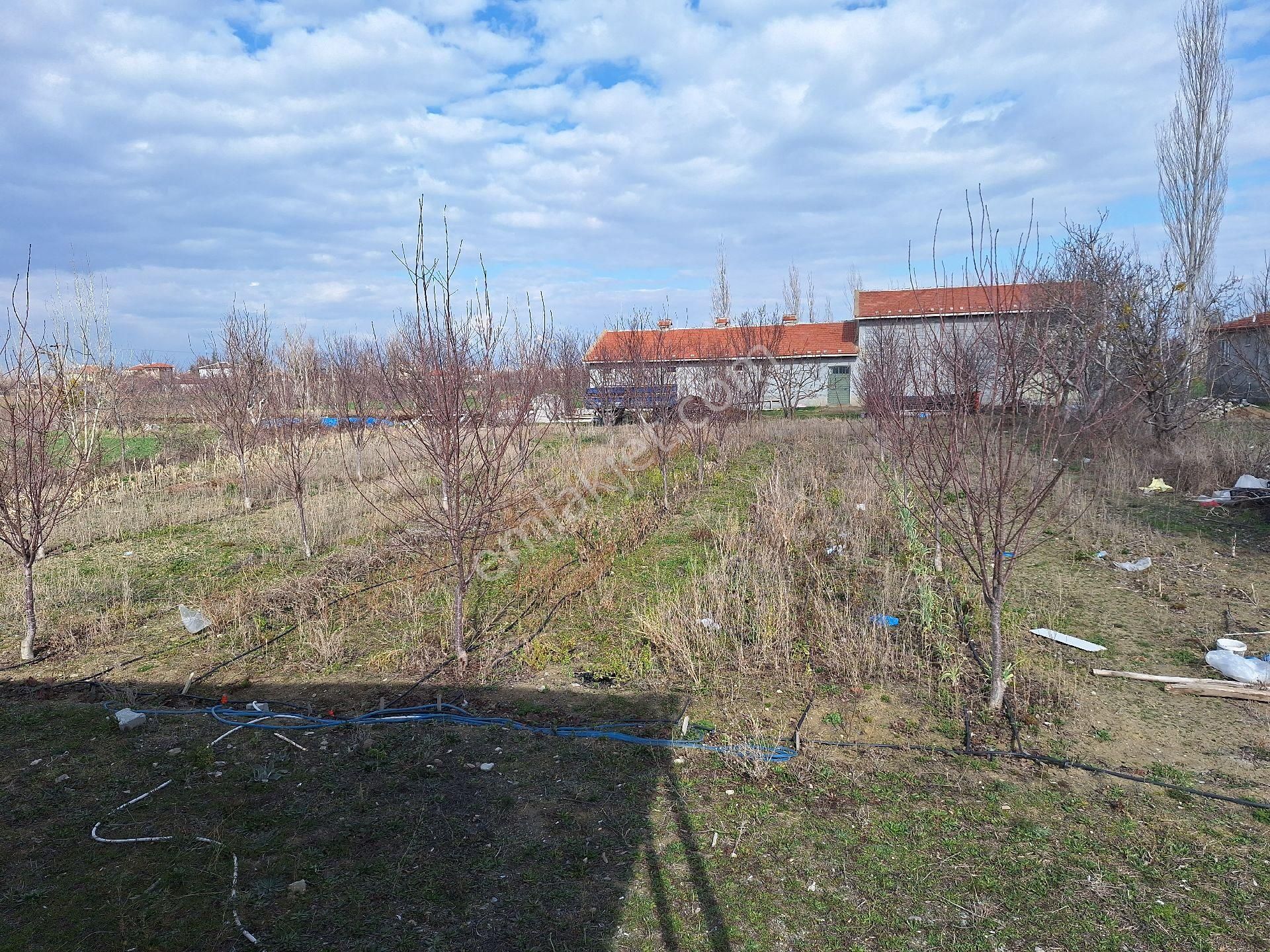 Daglı Emlaktan Atsız Mahallesinde - Görsel 12