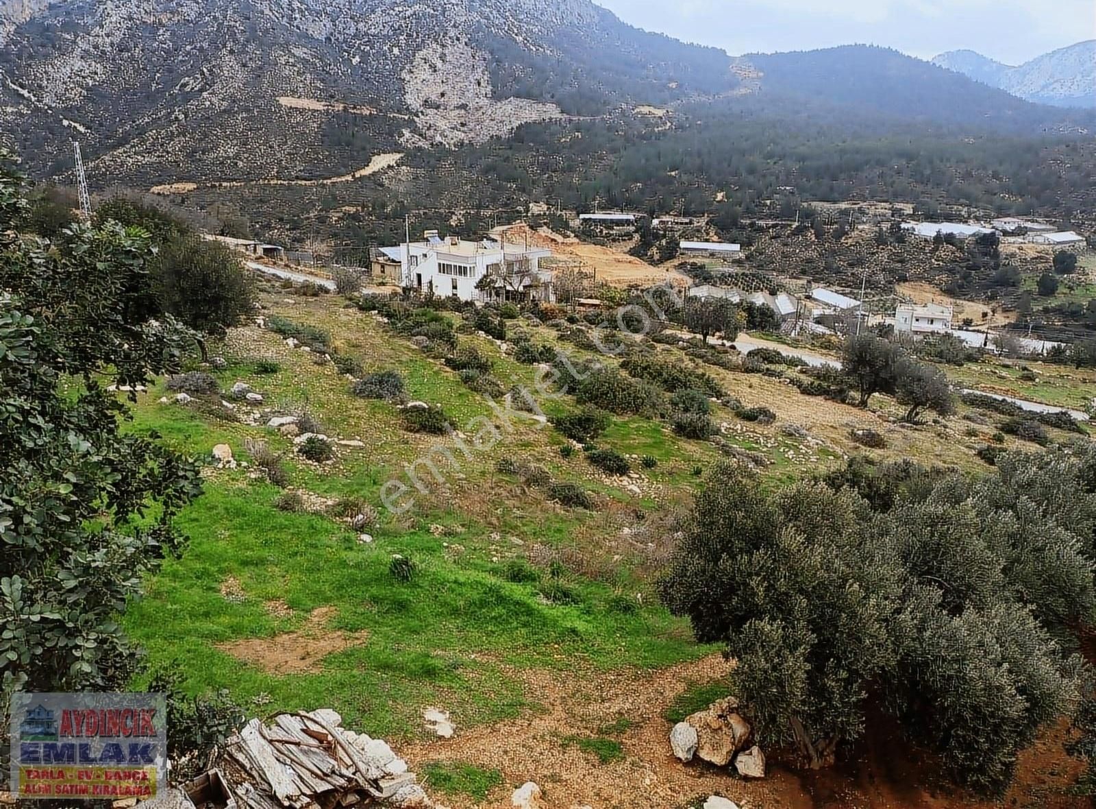 Aydıncık Emlaktan Satılık Tarla 4778m2 - Görsel 4