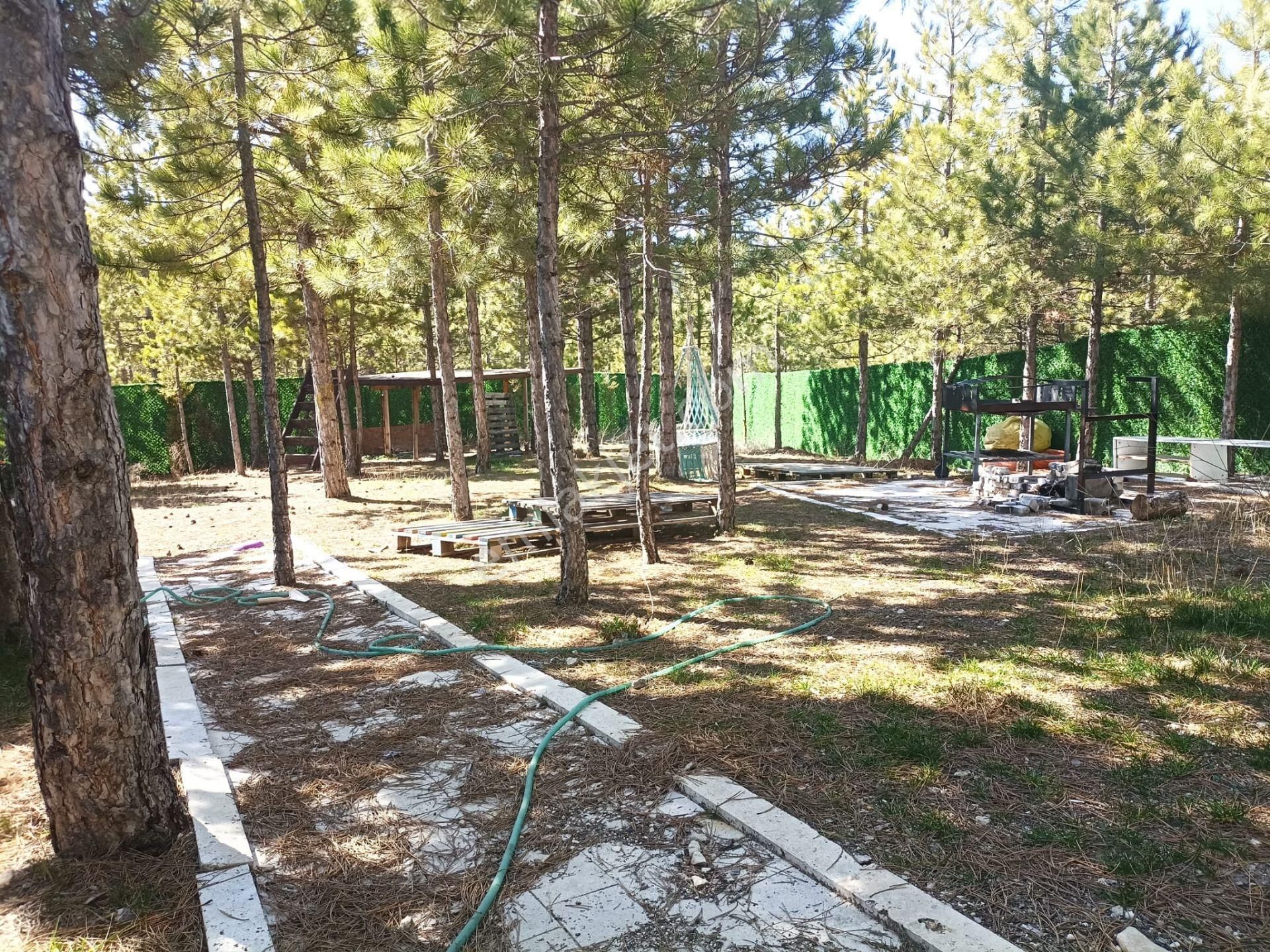 Şehre Yakın Çam Ağaçları İçerisinde Suyu Olan Muhteşem Bahçeler... - Görsel 5