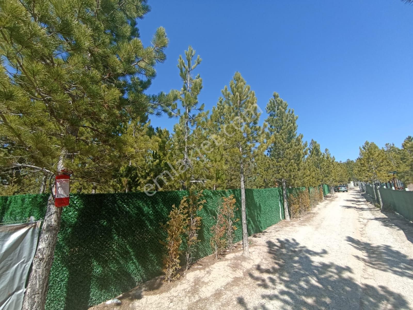 Şehre Yakın Çam Ağaçları İçerisinde Suyu Olan Muhteşem Bahçeler... - Görsel 7