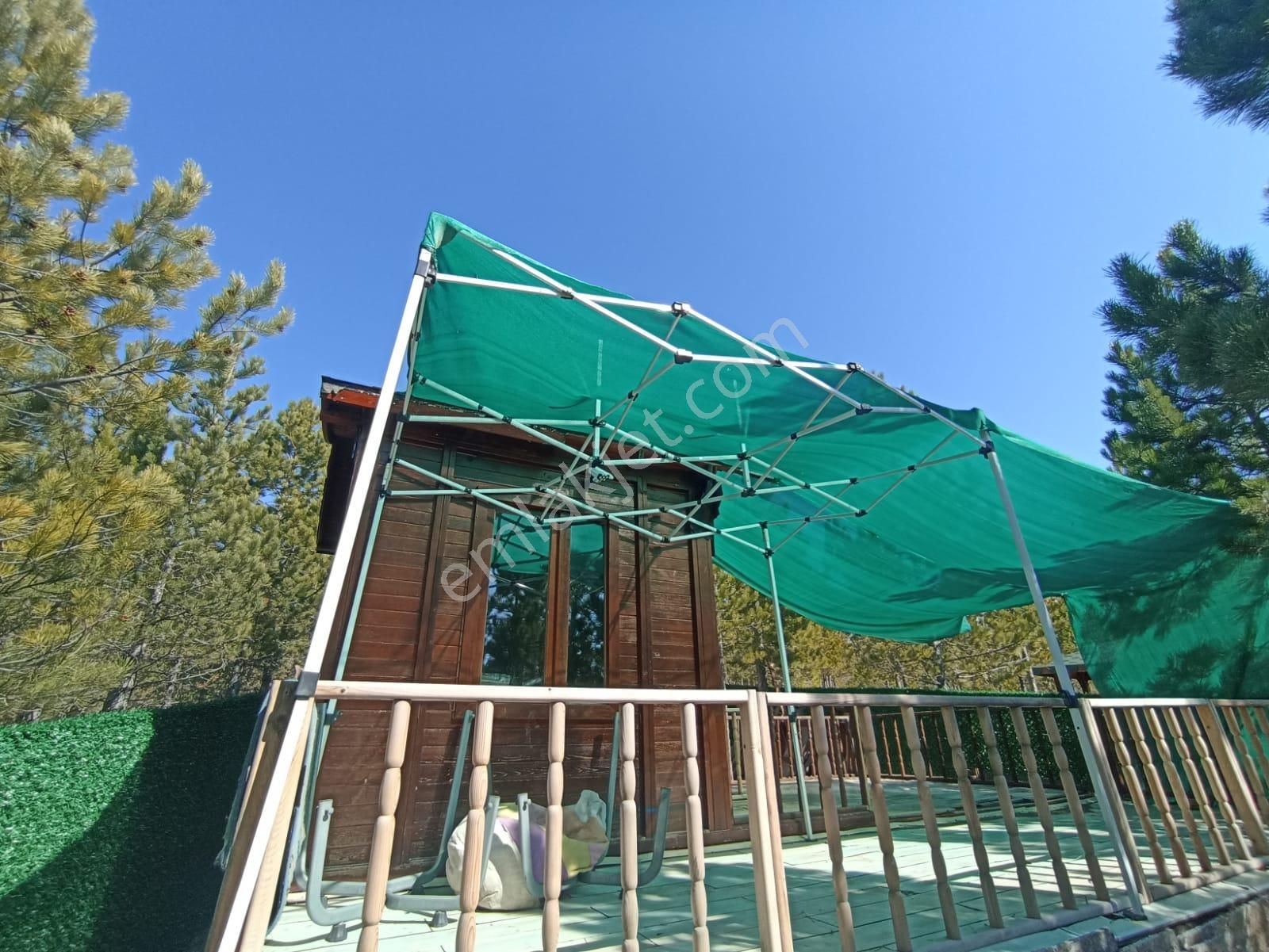 Şehre Yakın Çam Ağaçları İçerisinde Suyu Olan Muhteşem Bahçeler... - Görsel 4