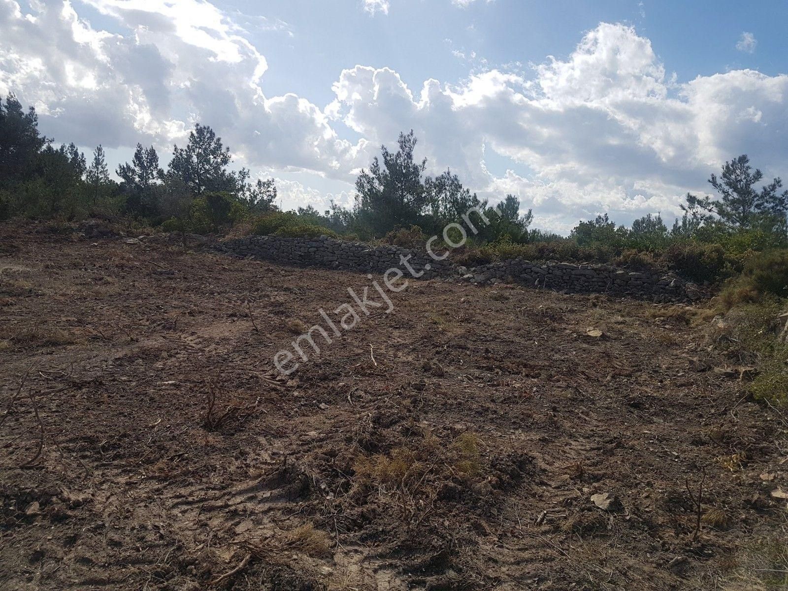 Çeşme Germiyan Satılık Tarla  Germiyan da Tapulu Hobi Bahçesi