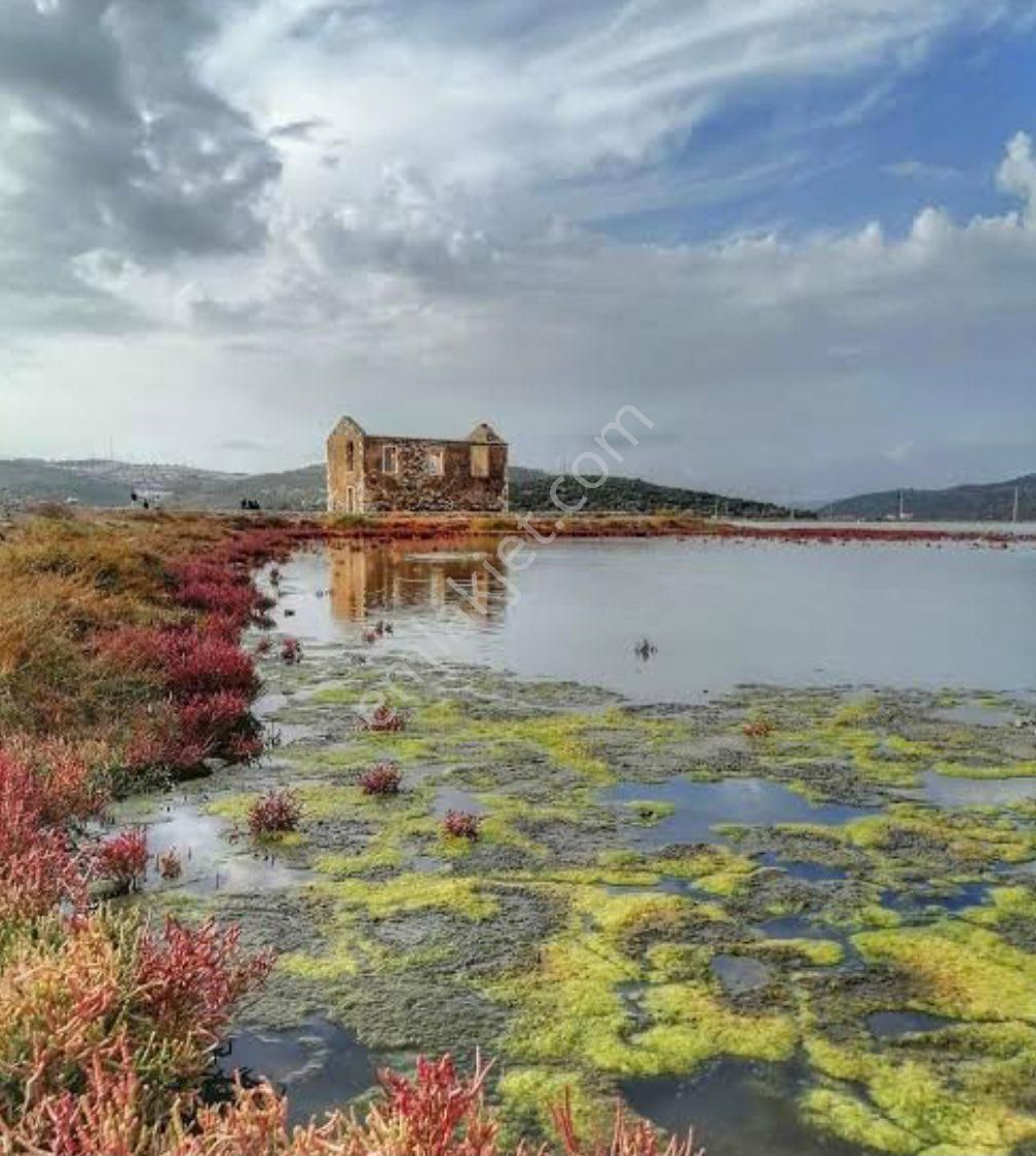 Milas Boğaziçi Satılık Tarla Boğaziçi Bargilya’da flamingo kuş cennetinde göle sıfır muhteşem yatırımlık 9 dönüm tarla