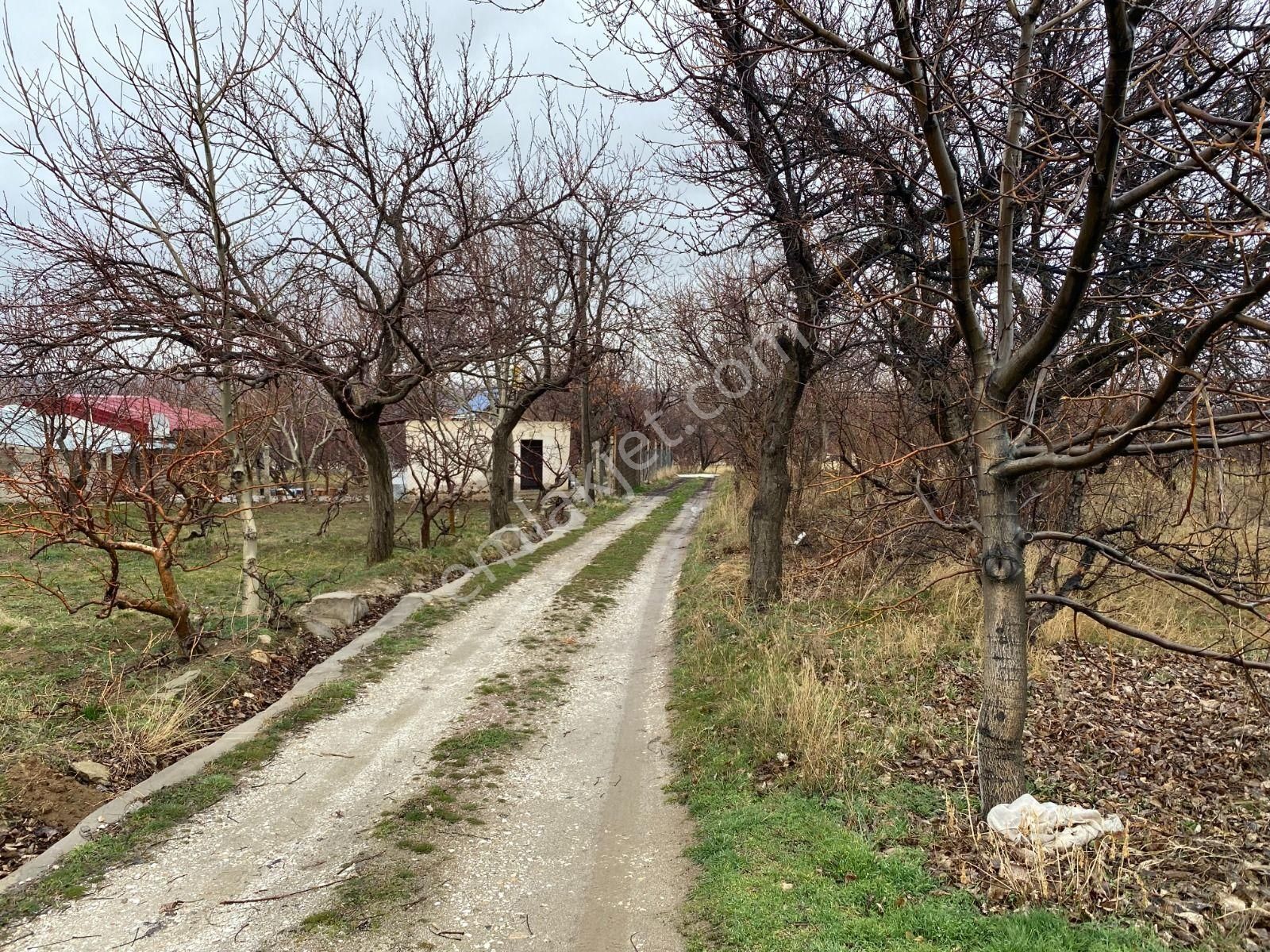 Niğde Merkez Gümüşler Bld. (Yeni Gümüş) Satılık Bağ & Bahçe Niğde Merkez Gümüşlerde/yeni Ana Yola Yakın 879m2 Satılık Bahçe