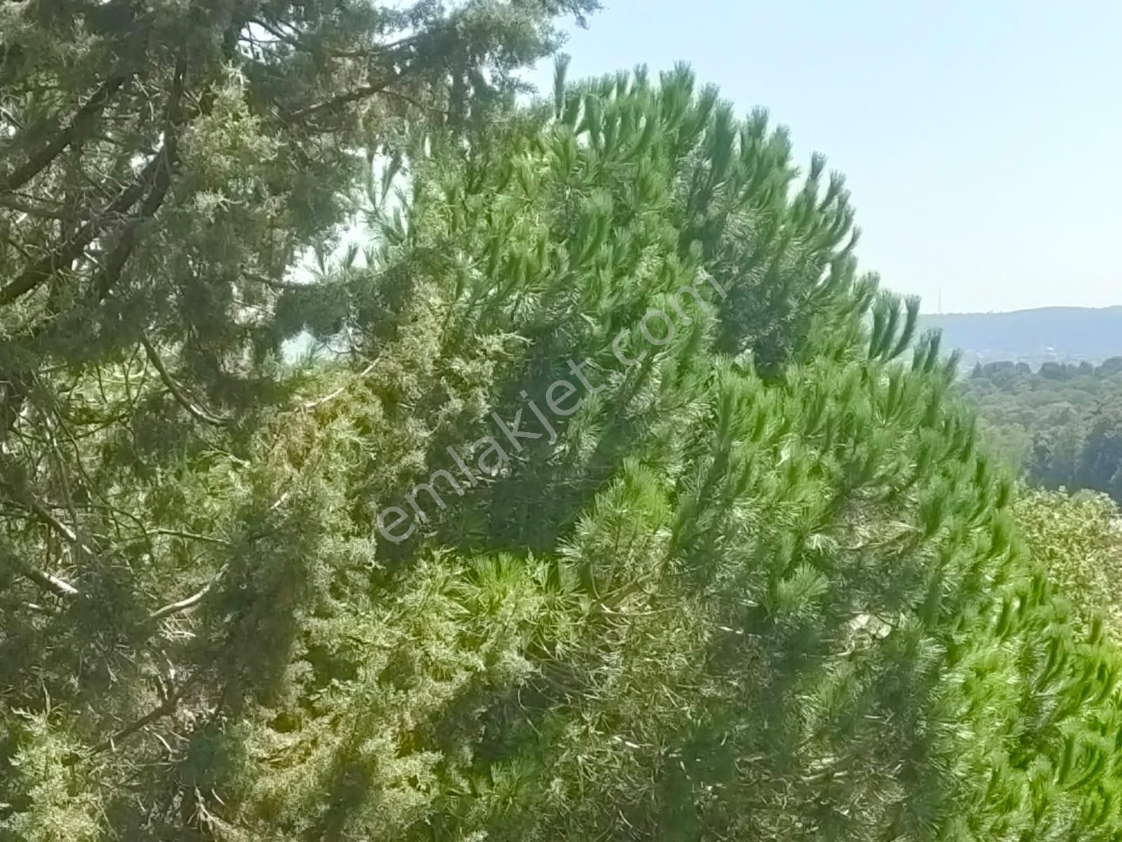 Sarıyer Tarabyaüstü Asansör ,otopark Şömine Yeni Eşyalı Kiralık Daire - Görsel 30