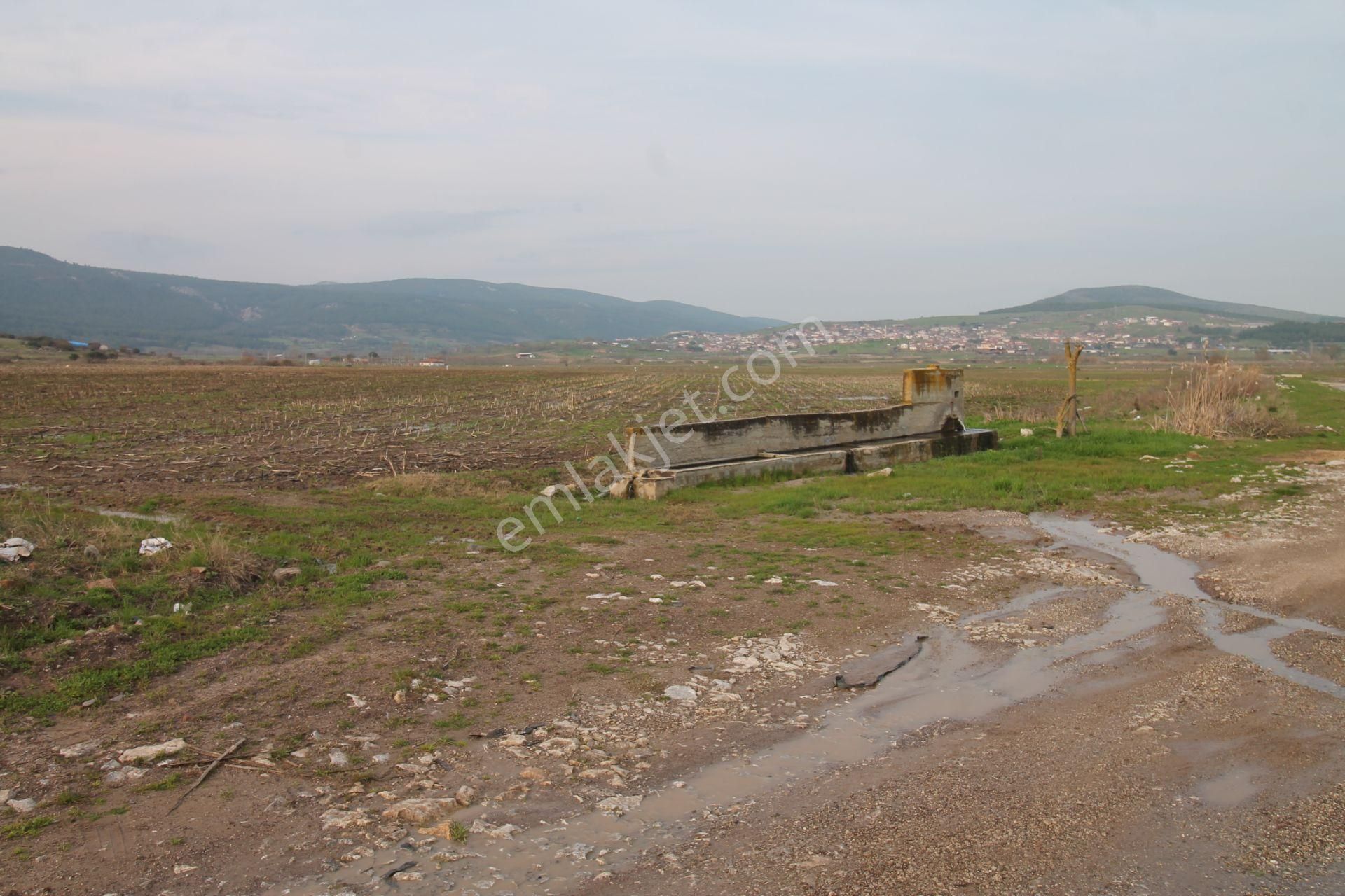 Karesi Kocaavşar Satılık Tarla  KOCAAVŞAR MAH. KADASTROL YOLA CEPHE YATIRIMLIK SATILIK TARLA