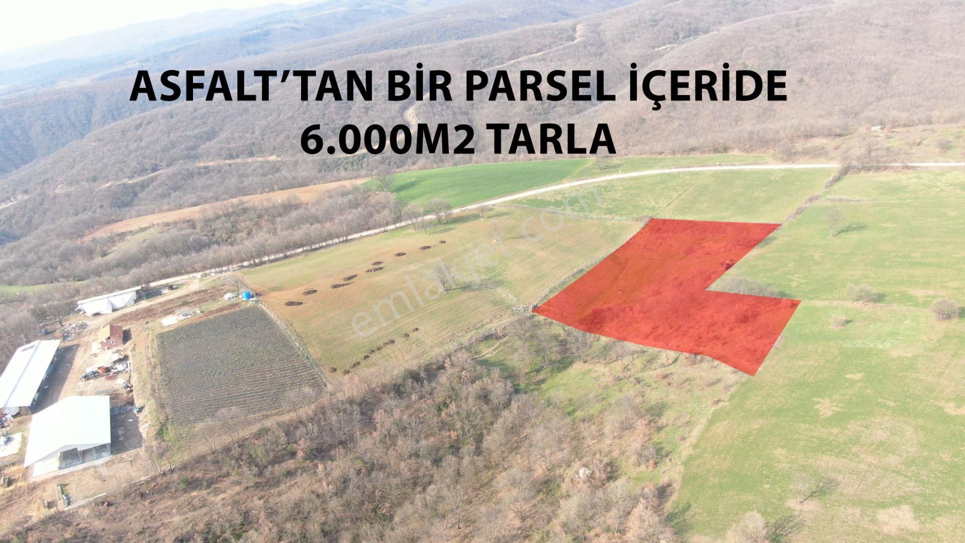 İnegöl Kurşunlu Satılık Tarla  KURŞUNLU'DA 6 DÖNÜM ASFALT'A 1 PARSEL SU İÇERİSİNDE 