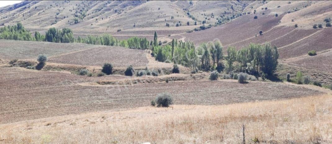 Sivas Merkez Akören Köyü Satılık Tarla Nova Dan Satılık Akören Köyünde Tarla Çiflik Bahçe İçin