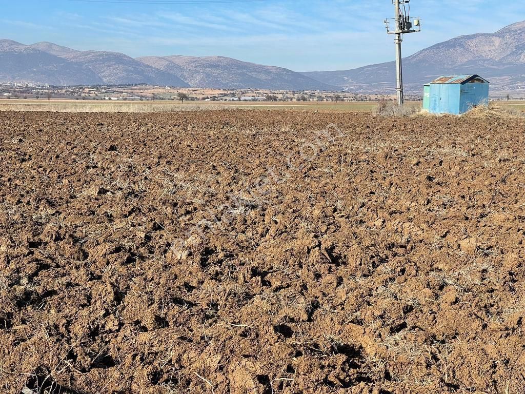 Çal Mahmutgazi Satılık Tarla Tercih'ten Çal'da Fırsat Sulu Tarla