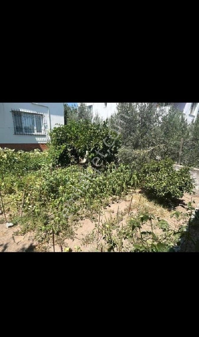 Müstakil Daire - Görsel 23