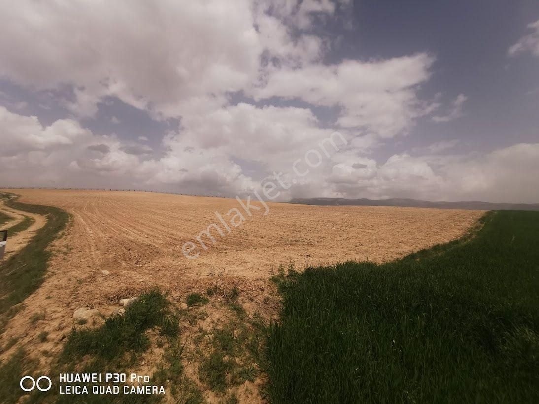 Bozkurt Mehmetçik Satılık Tarla 42700 M² Bozkurt Organize Sanayi Projesi Bitişiği