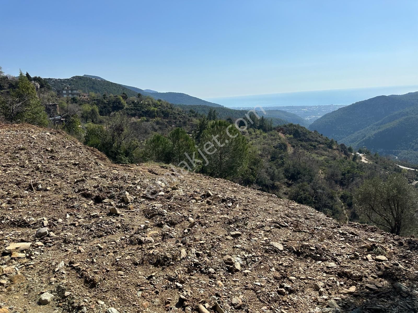 Alanya Bademağacı Satılık Tarla Alanya Bademağacı Mahallesi Satılık Tarla