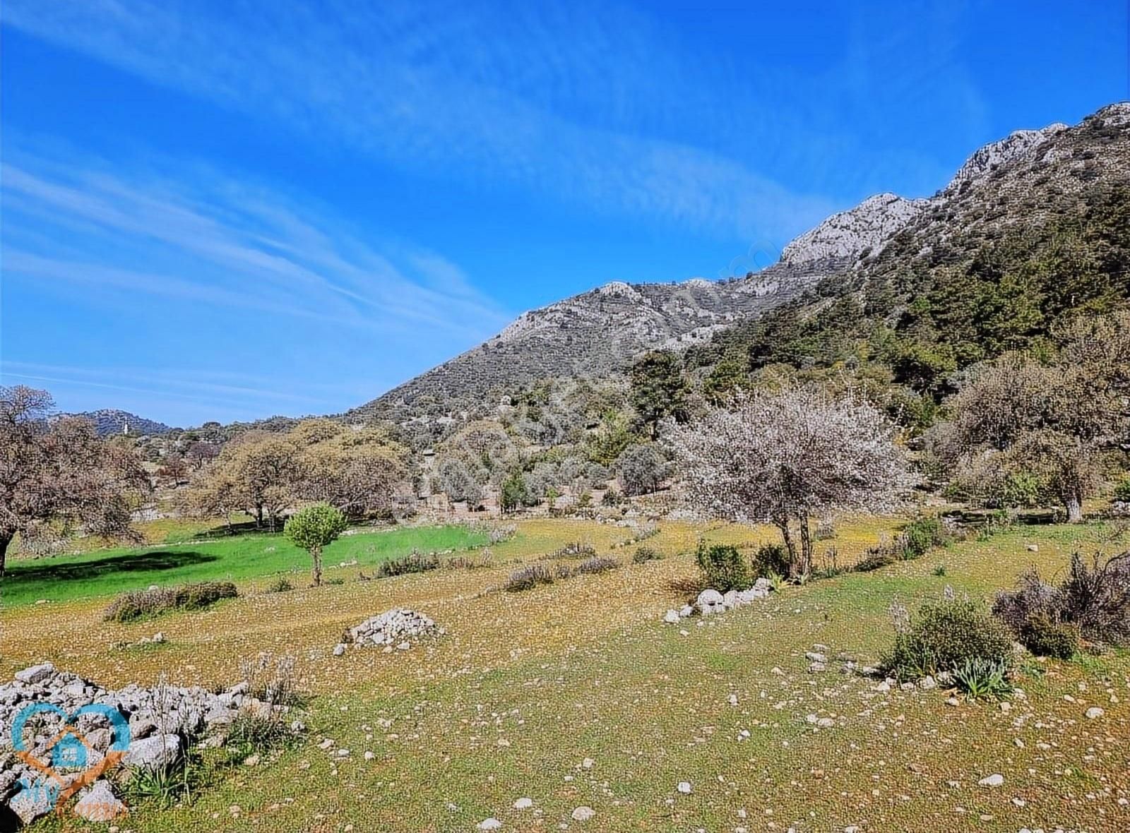 Mykonut'tan Boğaziçi Köyünde Doğa İçinde 1.212 M2. Tarla - Görsel 27