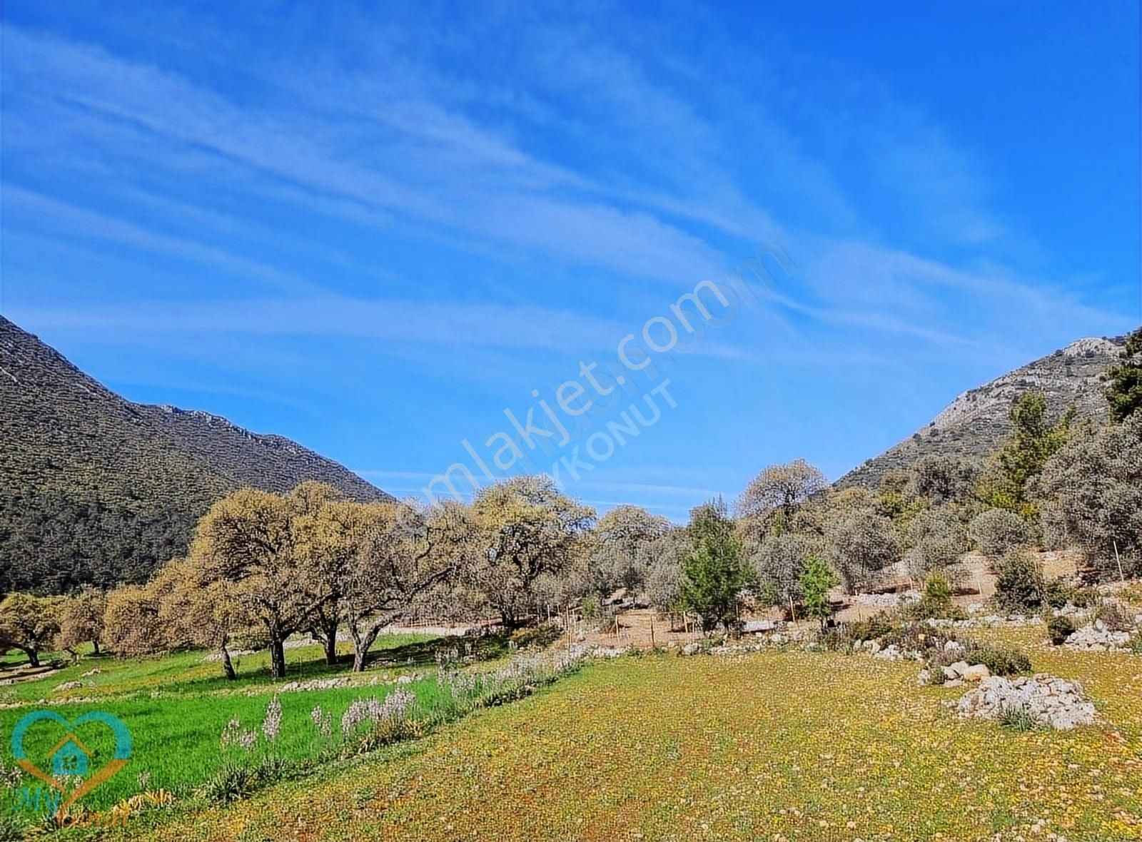 Seydikemer Boğaziçi Satılık Tarla Mykonut'tan Boğaziçi Köyünde Doğa İçinde 1.212 m2. Tarla