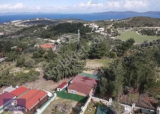 Karaburun Mordoğan Satılık Tarla Bulut Emlak'tan Arsa Nitelikli Deniz Manzaralı Arazi