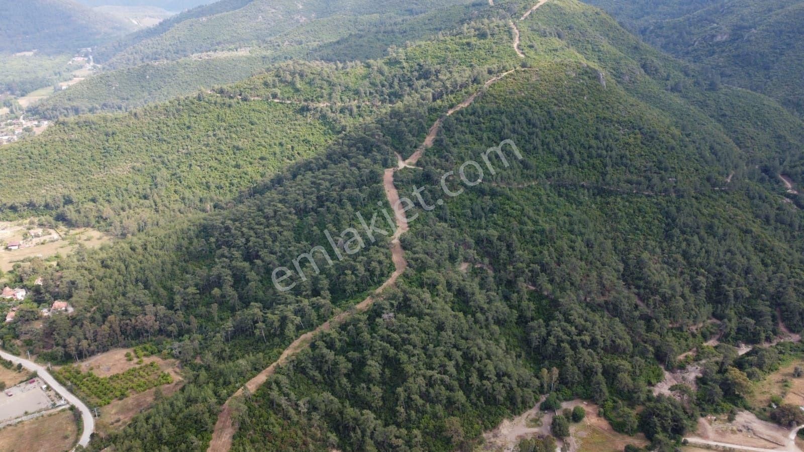 Vefa'dan Marmaris Çamli'da Satilik Tarla - Görsel 5