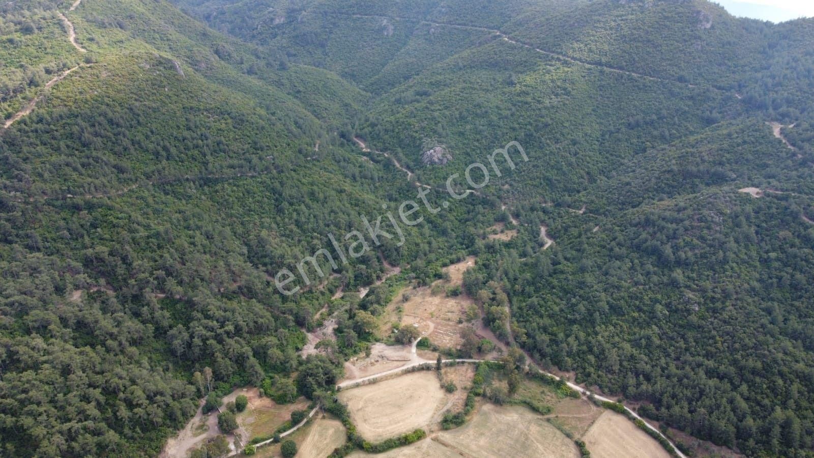 Vefa'dan Marmaris Çamli'da Satilik Tarla - Görsel 8