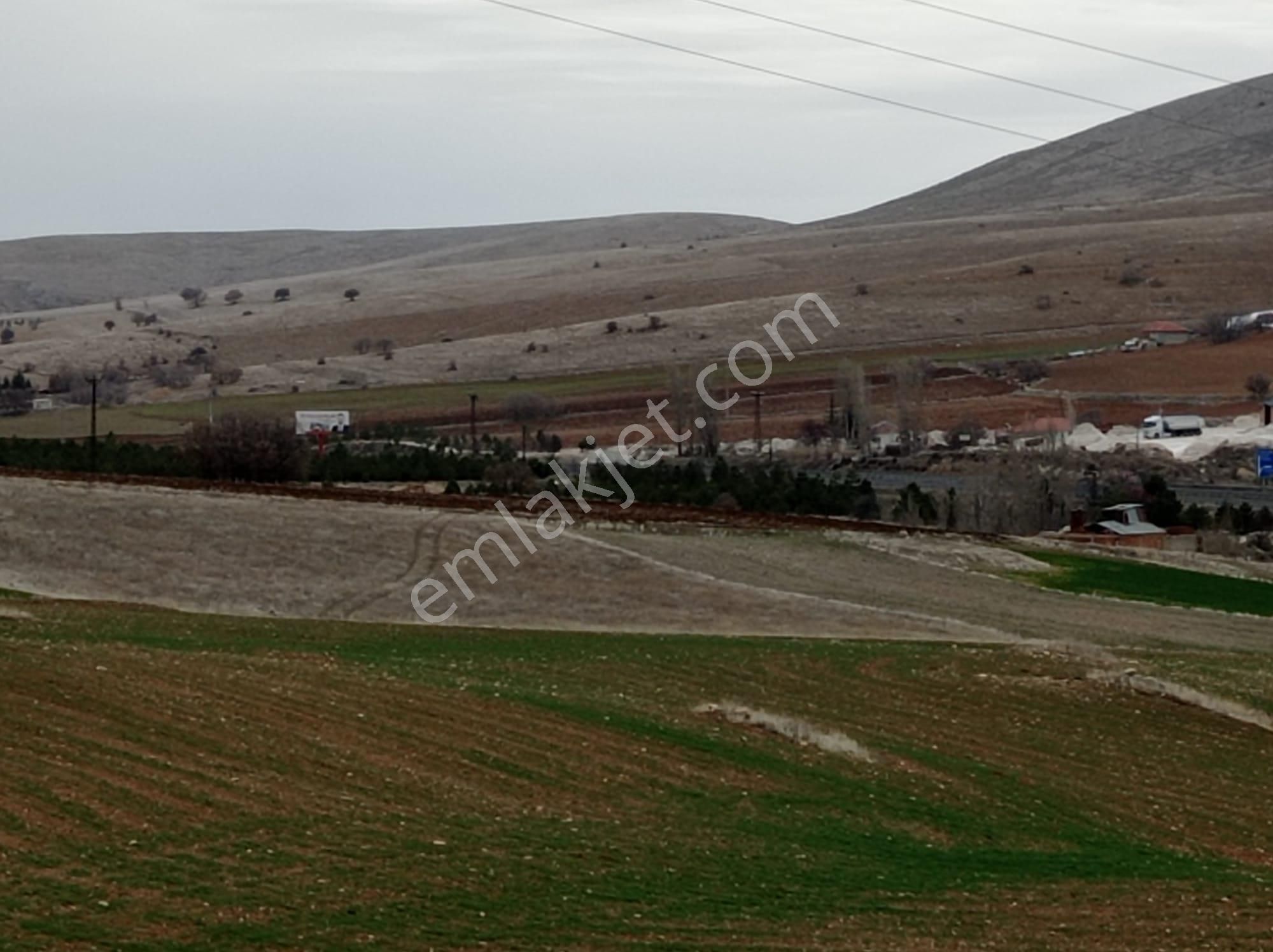 Sivrihisar Böğürtlen Satılık Tarla  SATILIK TARLA CEPHE