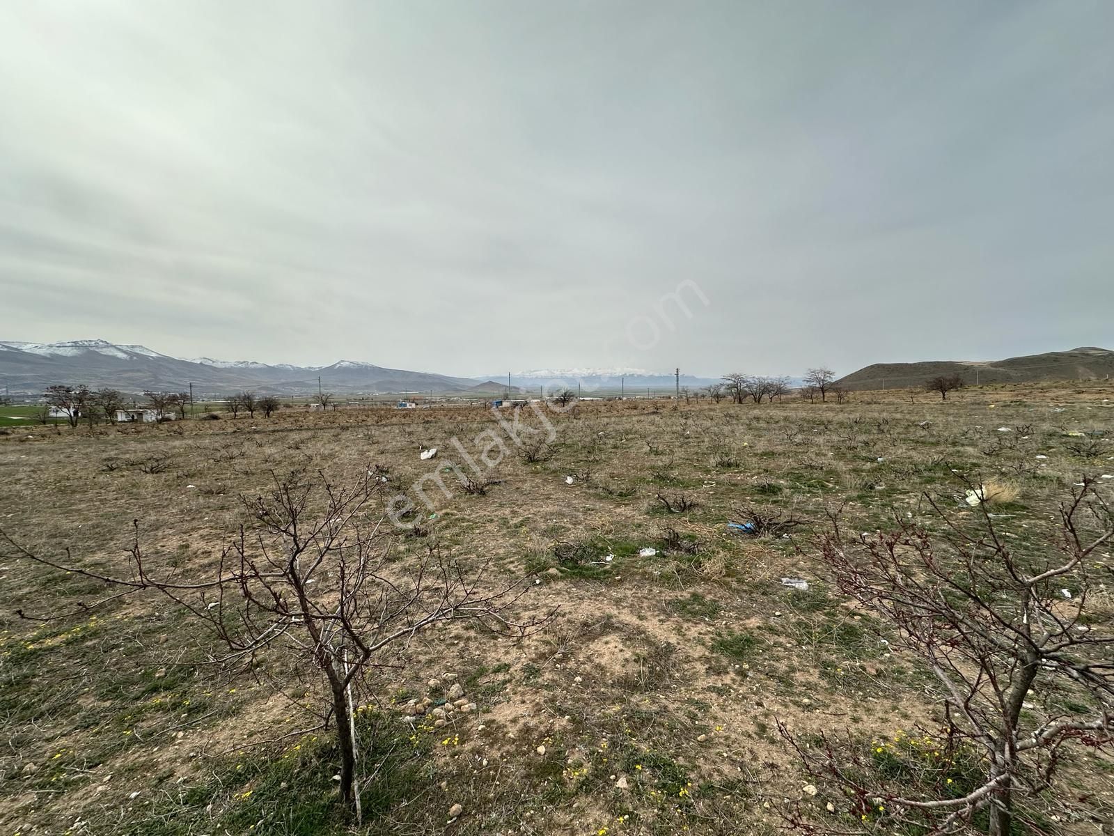Öz Gaye Emlaktan Develi Reşadiye Güzelce Mevkiinde 2904 M2 Satılık Bağ - Görsel 5