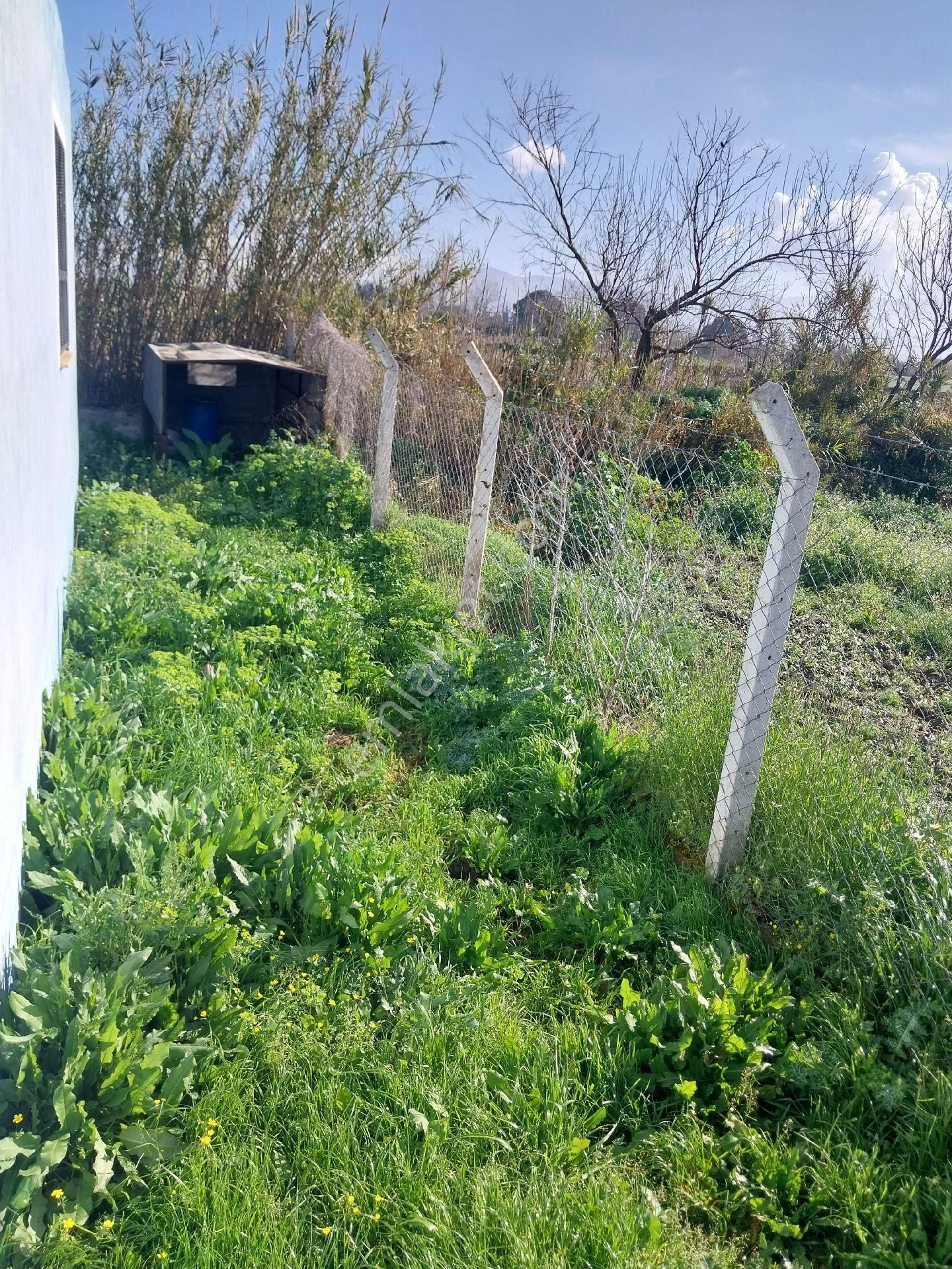 Saygın İnşaat & Gayrimenkulden Bağarasında Hazır Besi Damlı Satılık Çiftlik - Görsel 5