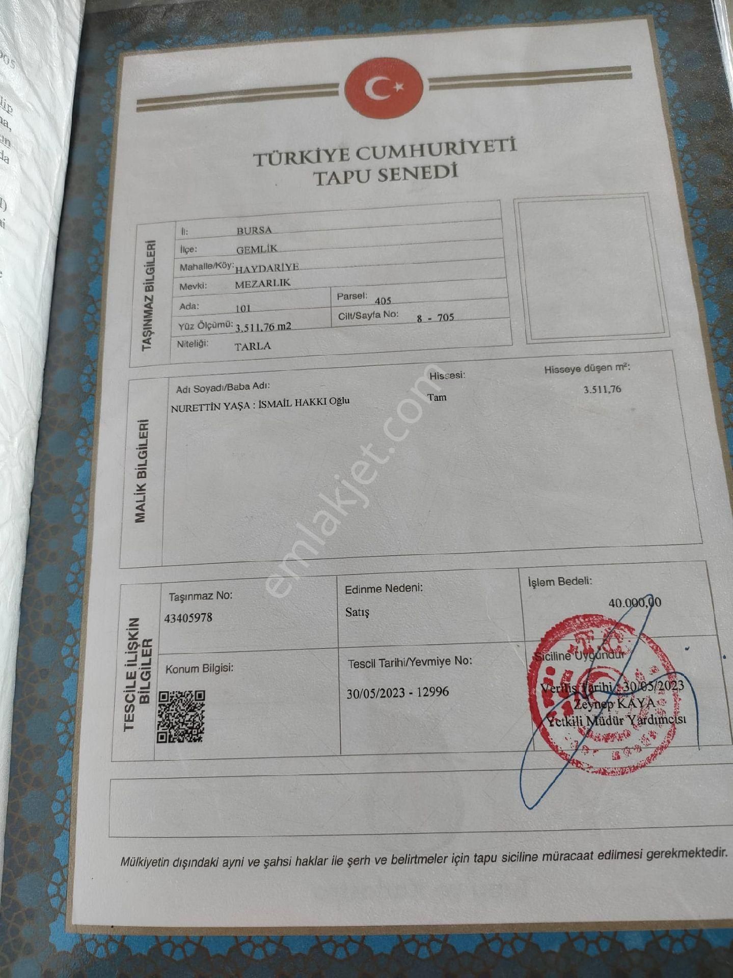 Bursa/gemlik/haydariye