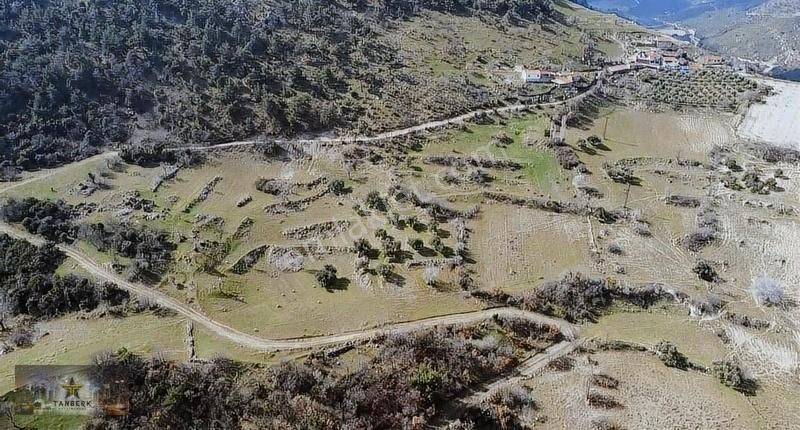 Kınık Büyükoba Satılık Tarla TANBERK DEN SATILIK TARLA BÜYÜKOBA DA SONDAJLI 10.739 M2