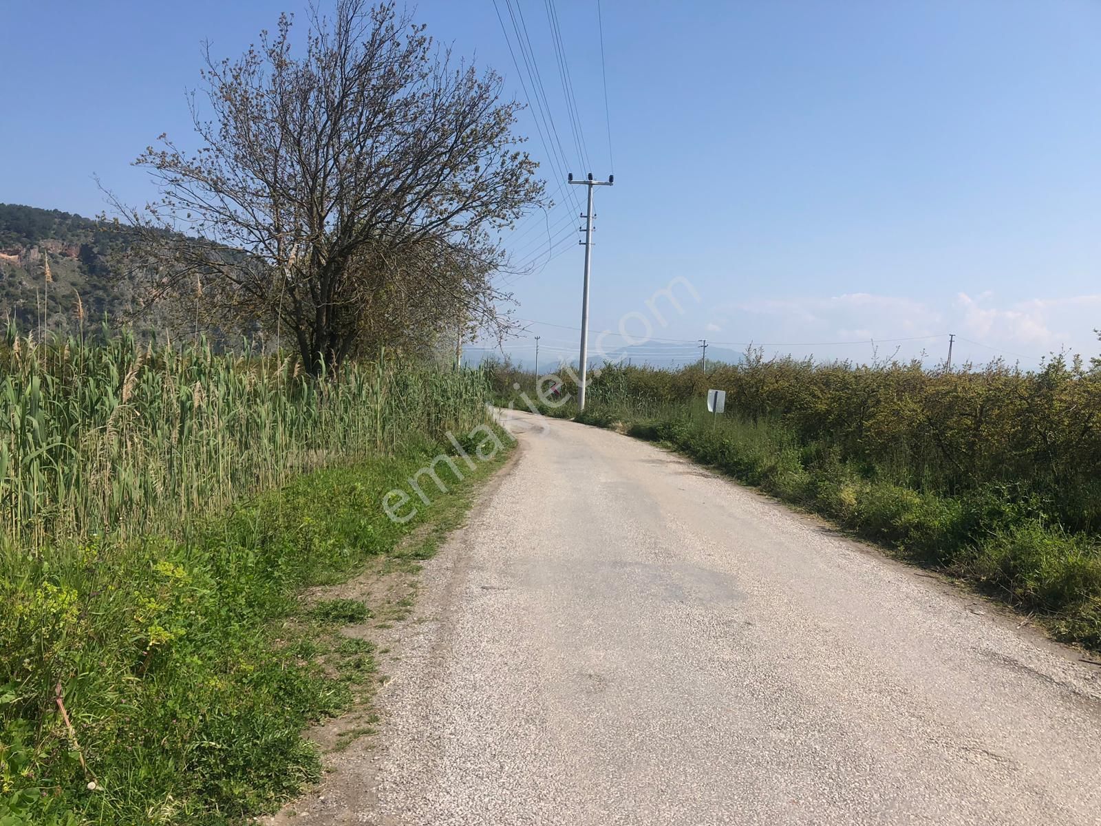 Ortaca Mergenlide 7989 M2 Nar Tarlası Satılık