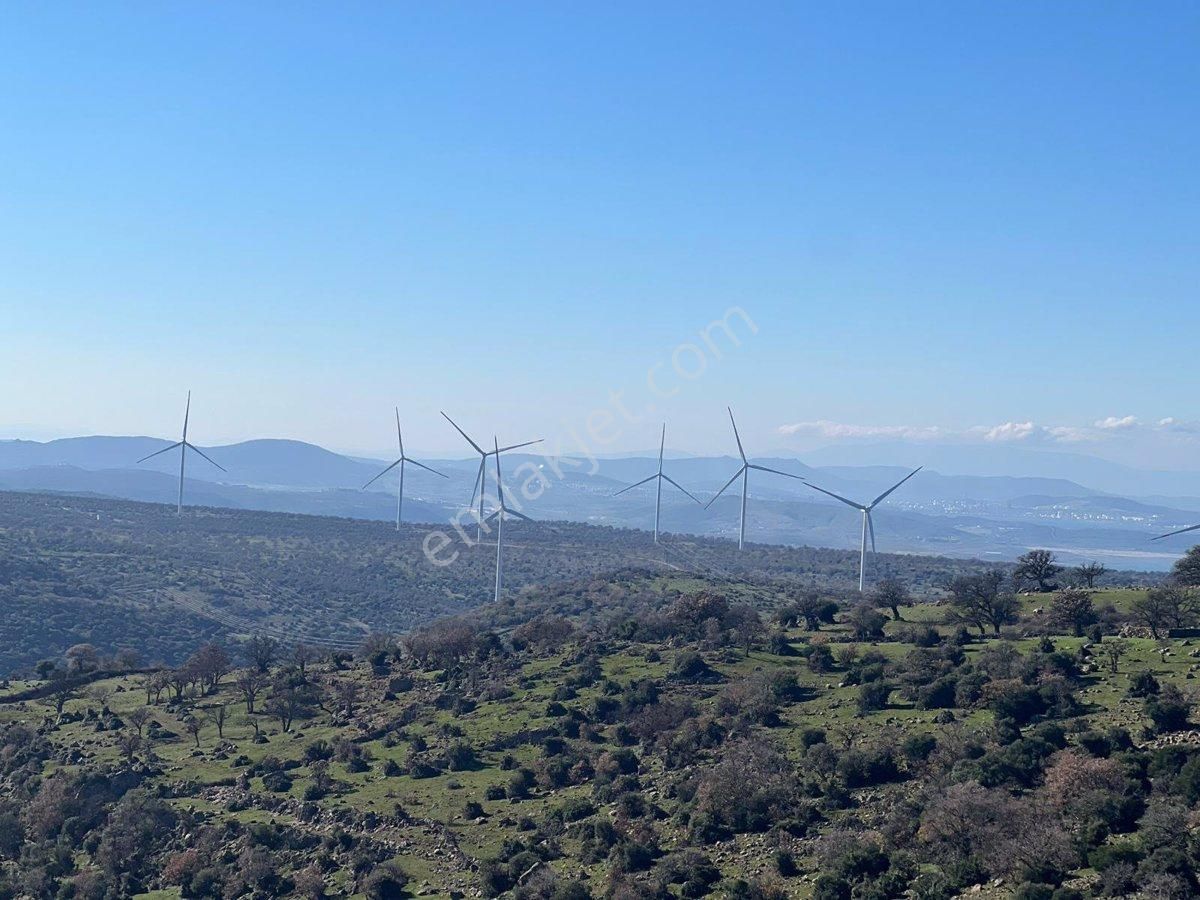 Bergama İsmailli Satılık Tarla YUNT DAĞI İSMAİLLİ'DE RÜZGAR ENERJİ SANTRALİ ARAZİSİ