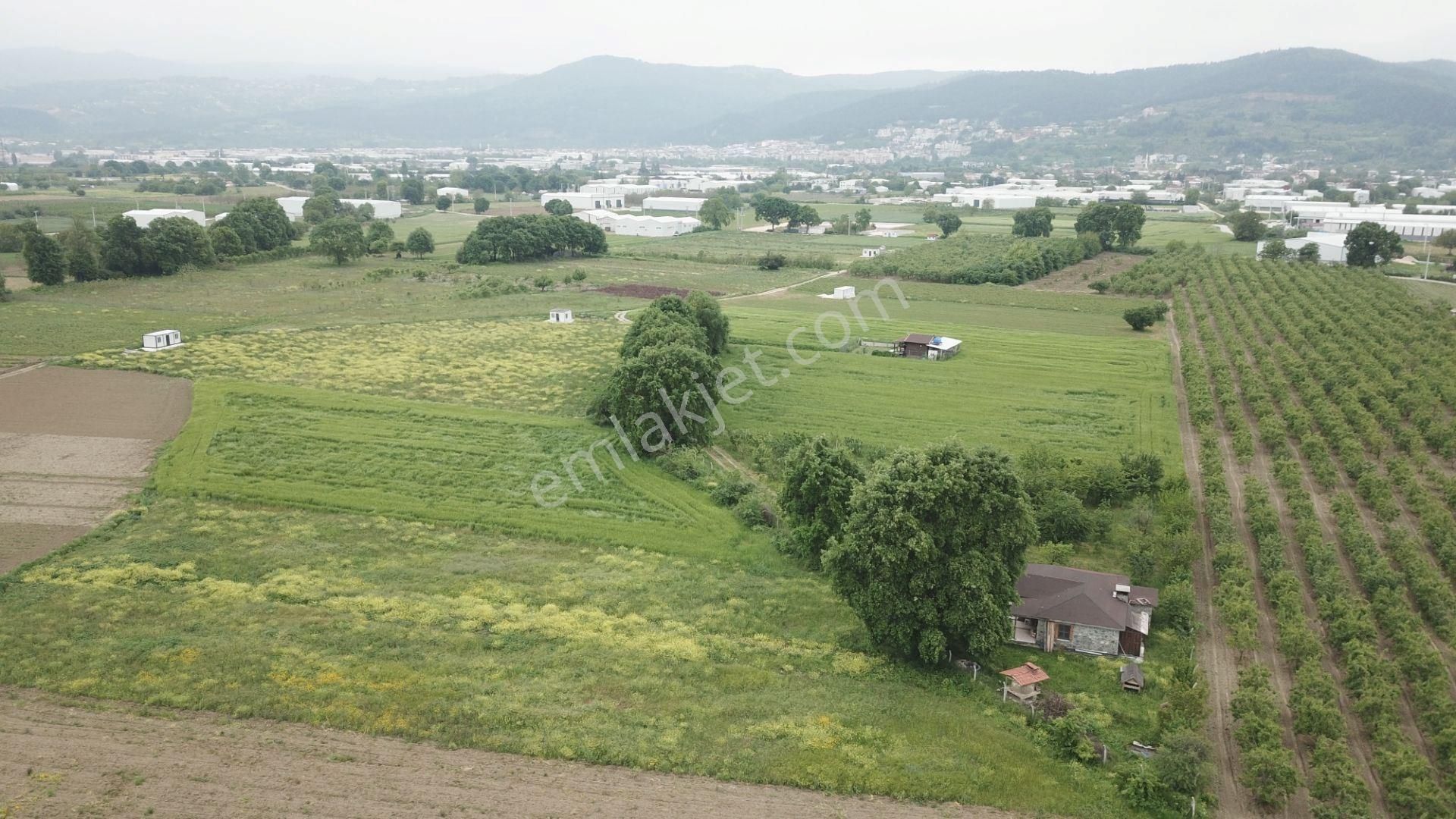 Yaylacıkta Fabrikaların Olduğu Bölgede Satılık Arazi - Görsel 6