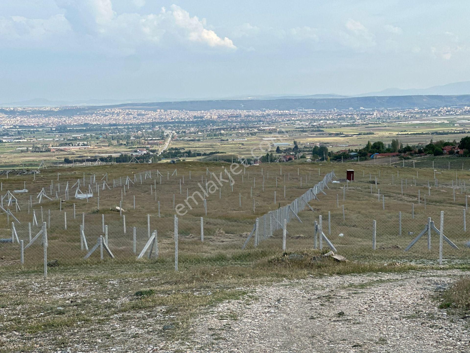 Tepebaşı Kozkayı Satılık Tarla Tapulu Kozkayıda Kalan Son 2 Bahçe Şok Fiyat