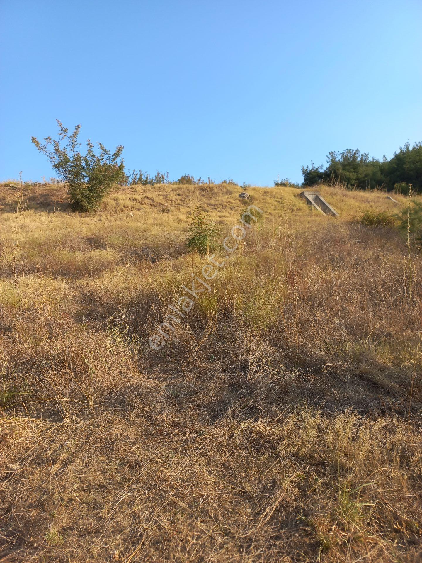 Acil Bilecik Söğüt'de Gecitli Köyüne 1 Km Yakınlıkta Tarla - Görsel 32