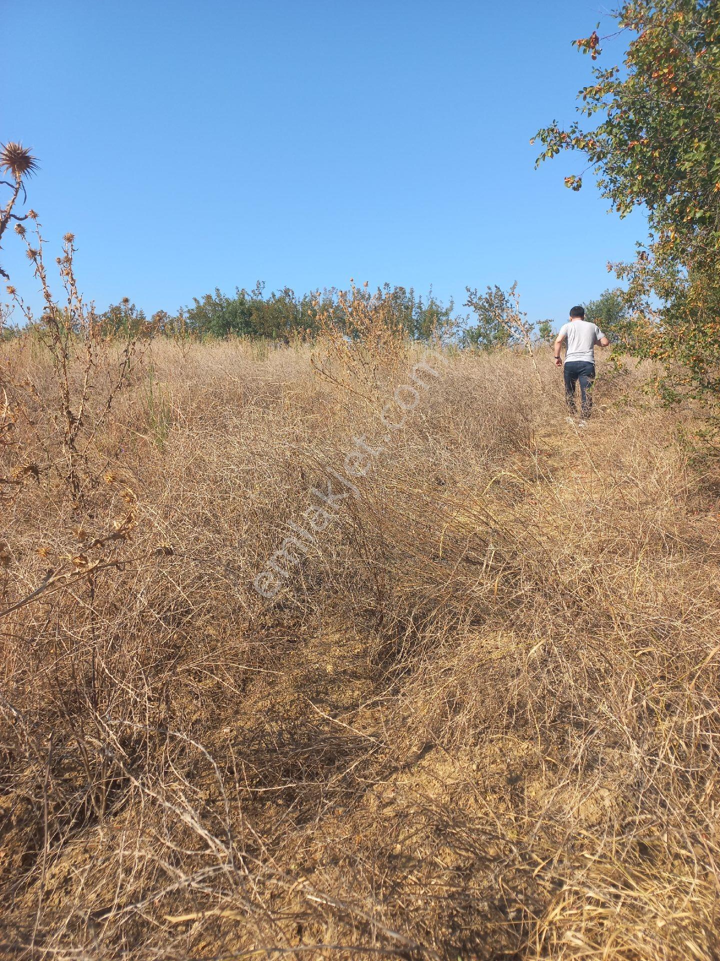 Acil Bilecik Söğüt'de Gecitli Köyüne 1 Km Yakınlıkta Tarla - Görsel 18