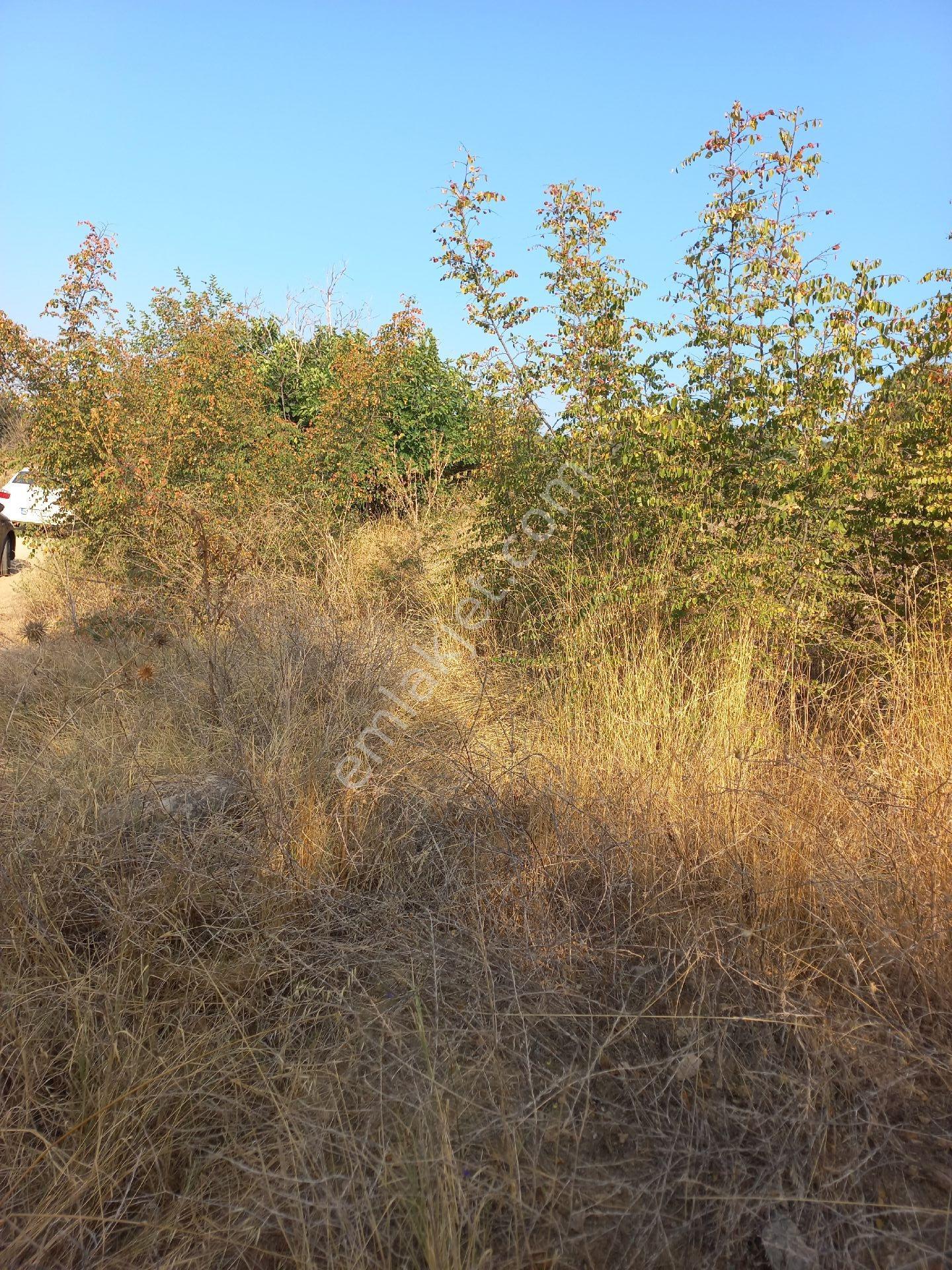Acil Bilecik Söğüt'de Gecitli Köyüne 1 Km Yakınlıkta Tarla - Görsel 29