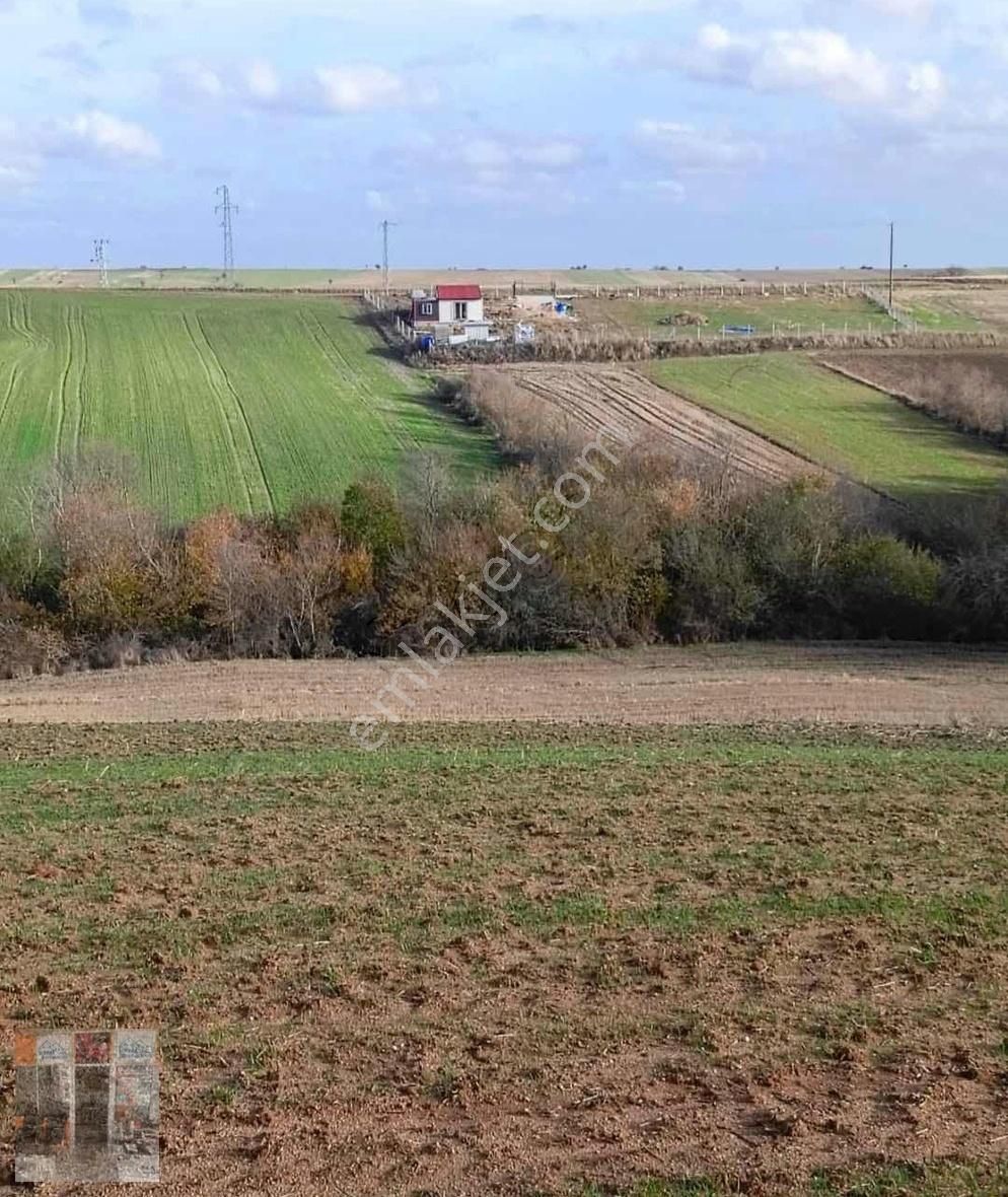 Babaeski Terzili Köyü Satılık Tarla Babaeski Terzili 2907 M2 Tek Tapu Tarla